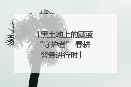 黑土地上的藏蓝“守护者” 春耕警务进行时