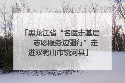 黑龙江省“名医走基层——志愿服务边疆行”走进双鸭山市饶河县