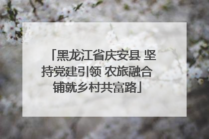 黑龙江省庆安县 坚持党建引领 农旅融合铺就乡村共富路