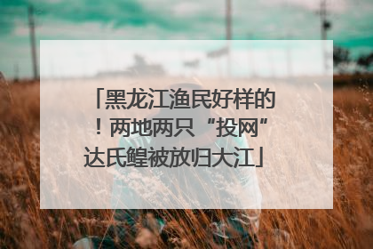 黑龙江渔民好样的！两地两只“投网”达氏鳇被放归大江