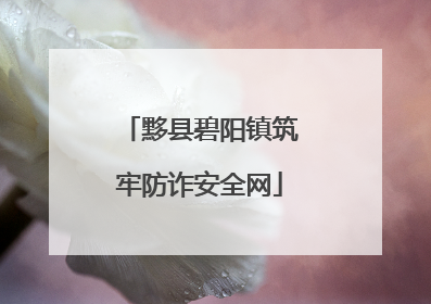 黟县碧阳镇筑牢防诈安全网