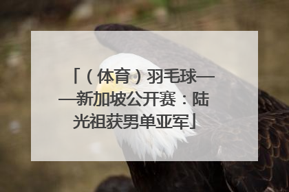 （体育）羽毛球——新加坡公开赛：陆光祖获男单亚军