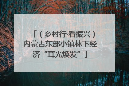 （乡村行·看振兴）内蒙古东部小镇林下经济“茸光焕发”