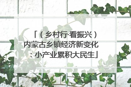 （乡村行·看振兴）内蒙古乡镇经济新变化：小产业累积大民生