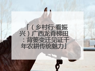 （乡村行·看振兴）广西龙脊梯田：背篓变迁见证千年农耕传统魅力