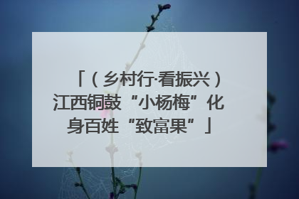（乡村行·看振兴）江西铜鼓“小杨梅”化身百姓“致富果”