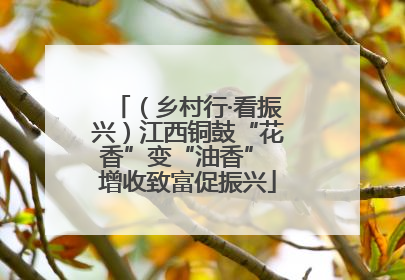 （乡村行·看振兴）江西铜鼓“花香”变“油香” 增收致富促振兴