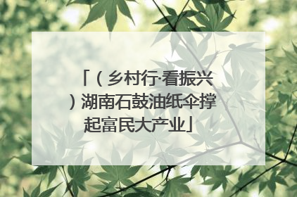 （乡村行·看振兴）湖南石鼓油纸伞撑起富民大产业