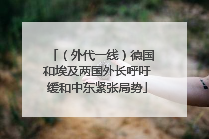 （外代一线）德国和埃及两国外长呼吁缓和中东紧张局势