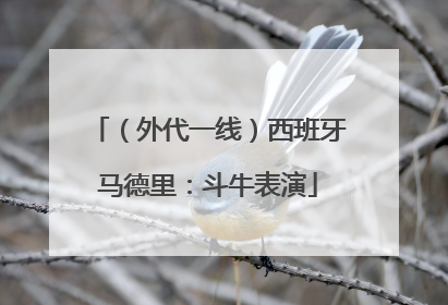 （外代一线）西班牙马德里：斗牛表演