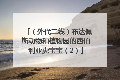 （外代二线）布达佩斯动物和植物园的西伯利亚虎宝宝（2）
