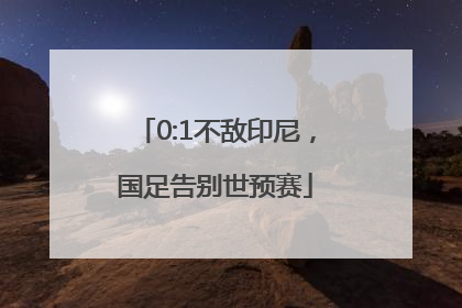 0:1不敌印尼，国足告别世预赛