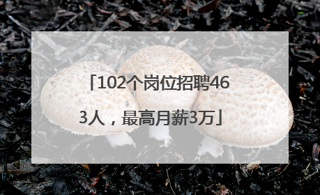 102个岗位招聘463人，最高月薪3万