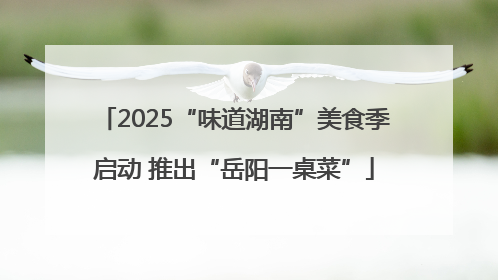 2025“味道湖南”美食季启动 推出“岳阳一桌菜”
