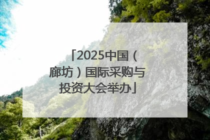 2025中国（廊坊）国际采购与投资大会举办