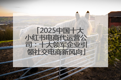 2025中国十大小红书电商代运营公司：十大领军企业引领社交电商新风向