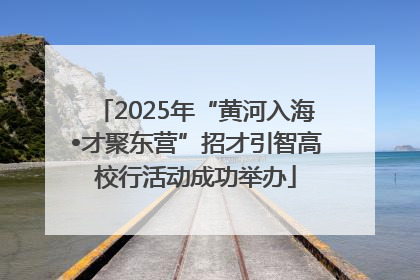 2025年“黄河入海•才聚东营”招才引智高校行活动成功举办