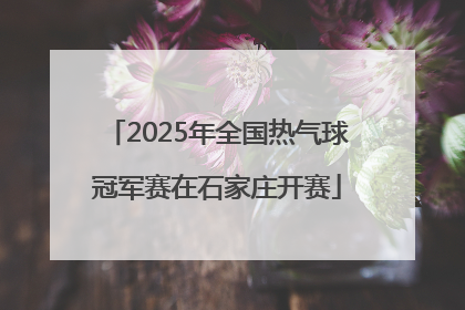 2025年全国热气球冠军赛在石家庄开赛