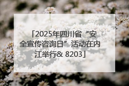 2025年四川省“安全宣传咨询日”活动在内江举行& 8203