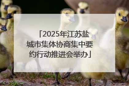 2025年江苏盐城市集体协商集中要约行动推进会举办