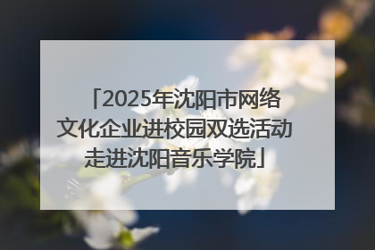 2025年沈阳市网络文化企业进校园双选活动走进沈阳音乐学院