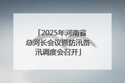 2025年河南省总河长会议暨防汛备汛调度会召开