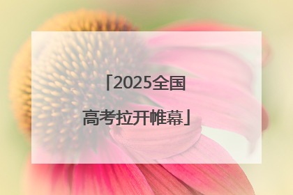 2025全国高考拉开帷幕
