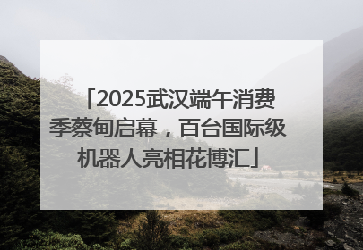 2025武汉端午消费季蔡甸启幕，百台国际级机器人亮相花博汇