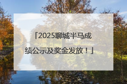 2025聊城半马成绩公示及奖金发放！