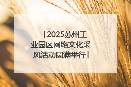 2025苏州工业园区网络文化采风活动圆满举行