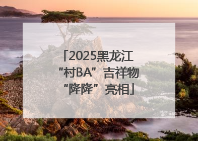 2025黑龙江“村BA”吉祥物“隆隆”亮相