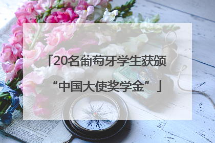 20名葡萄牙学生获颁“中国大使奖学金”