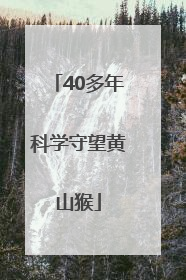 40多年科学守望黄山猴