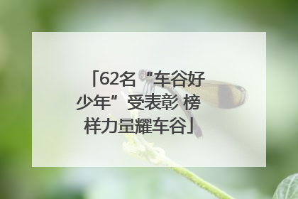 62名“车谷好少年”受表彰 榜样力量耀车谷