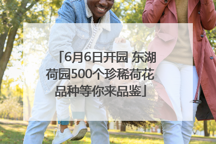 6月6日开园 东湖荷园500个珍稀荷花品种等你来品鉴