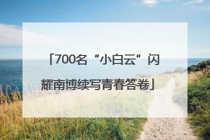 700名“小白云”闪耀南博续写青春答卷