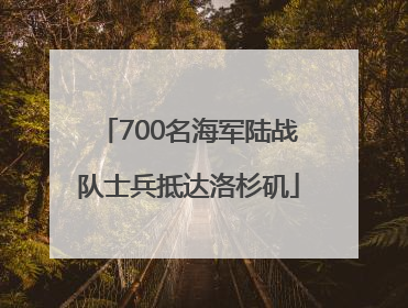 700名海军陆战队士兵抵达洛杉矶