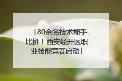 80余名技术能手比拼！西安经开区职业技能竞赛启动