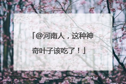 @河南人，这种神奇叶子该吃了！