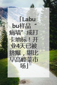 Labubu样品“痛墙”成打卡地标！开业4天已被挤爆，堪比早高峰菜市场