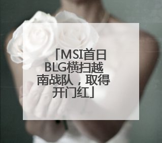 MSI首日BLG横扫越南战队，取得开门红