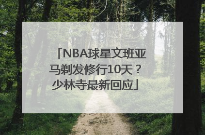 NBA球星文班亚马剃发修行10天？少林寺最新回应